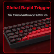 MADLIONS MAD 60 HE RGB 60% Wired Magnetic Switch Gaming Keyboard with Adjustable Actuation, 8K Hz Polling Rate, Rapid Trigger Mode, Hall Effect Switches, for PC/Mac